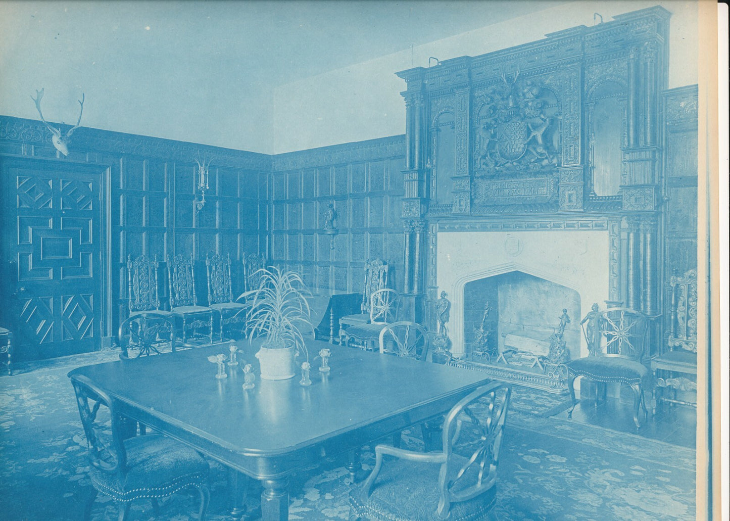 BEDFORD LEMERE and CO 10 cyanotype intérieurs anglais photo photographie photo