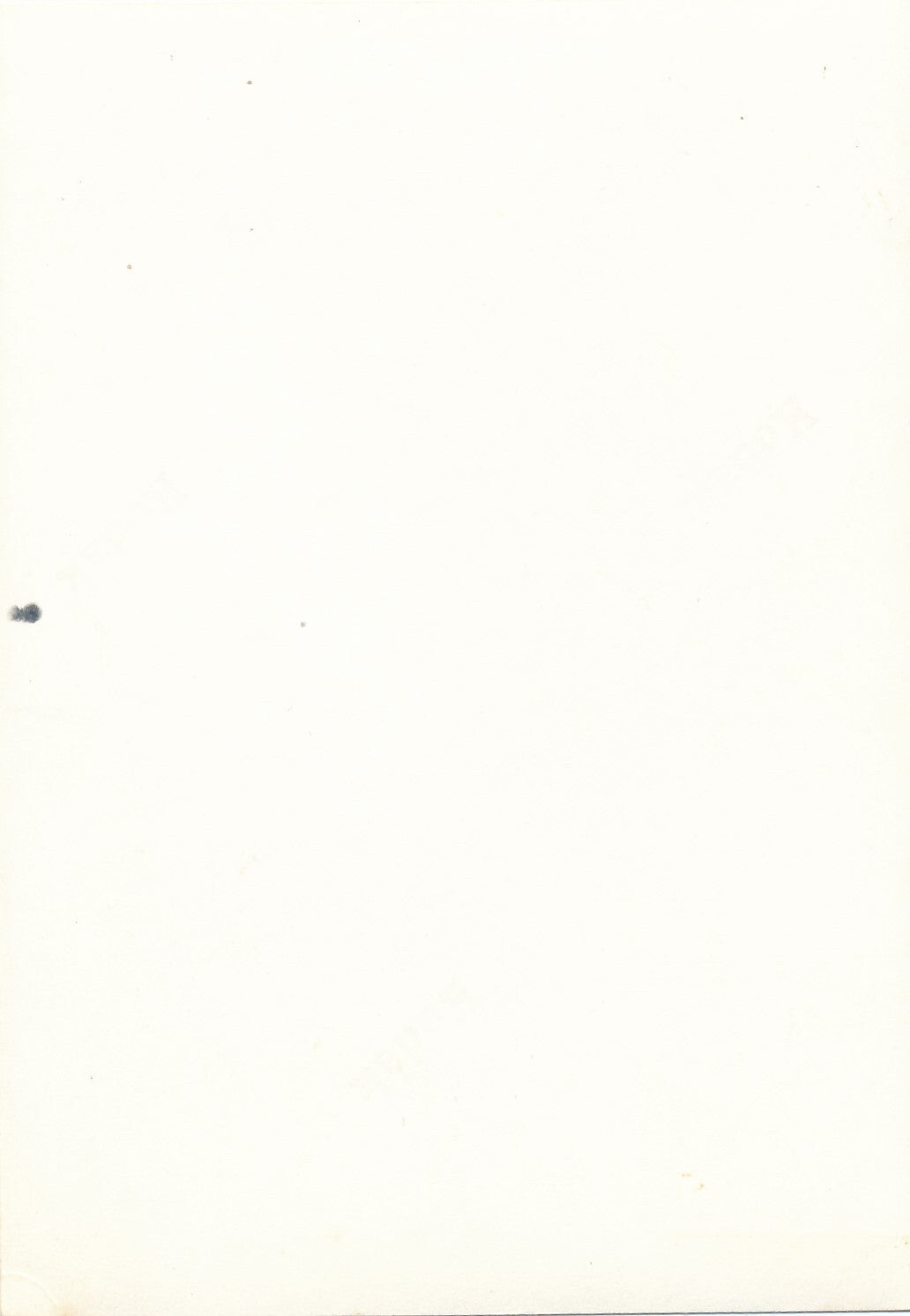 2 photo amateur Carnaval Nice 1969 snapshot couleur char femme