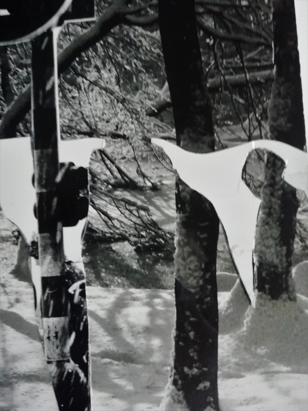 Photo collage : Hommes marchant sous la neige, fin des années 1970 argentique