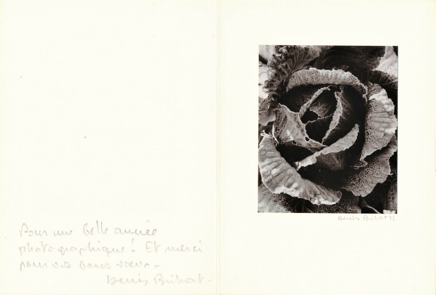 Denis BRIHAT photo photographie chou carte voeux 1975 signée envoi autographe