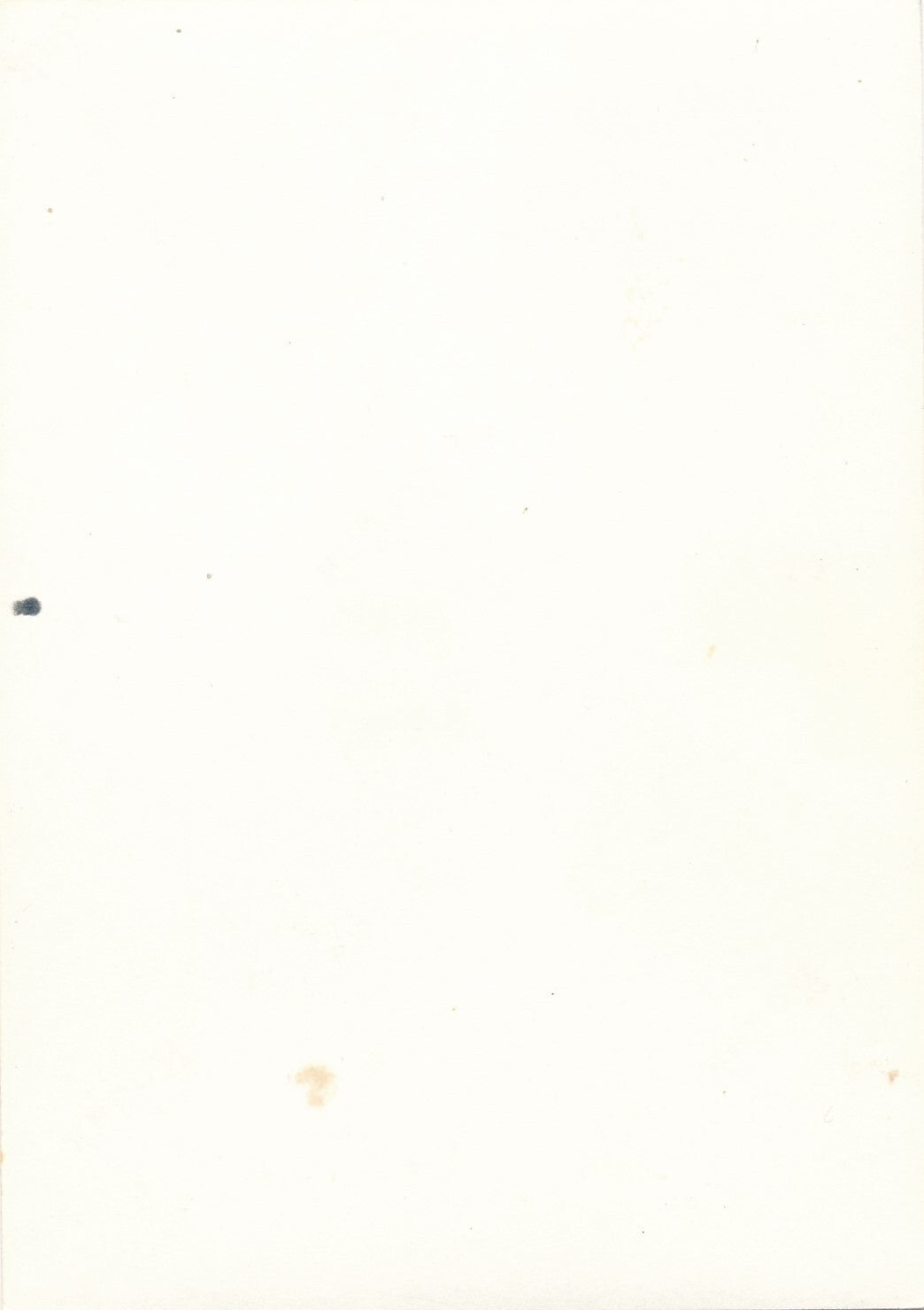 2 photo amateur Carnaval Nice 1969 snapshot couleur char femme