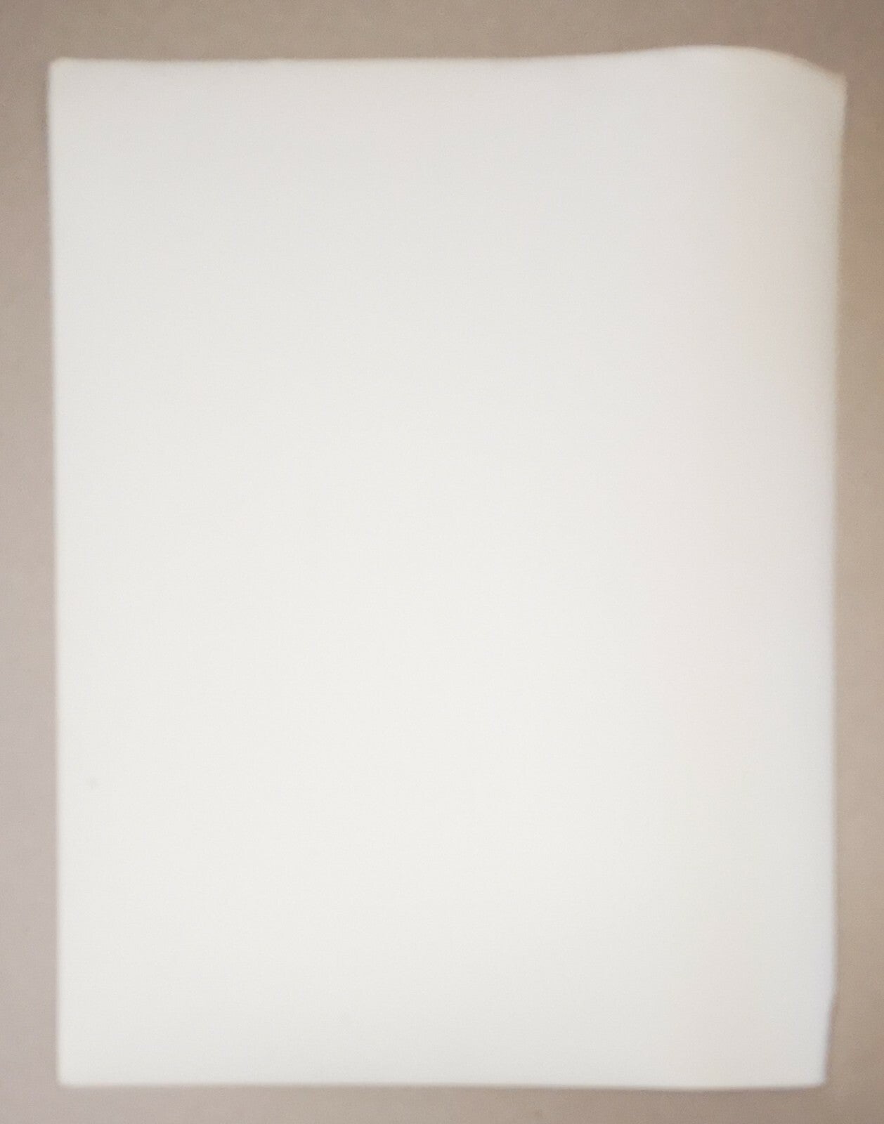 Les poulains animaux photo photographie fumée vers 1950