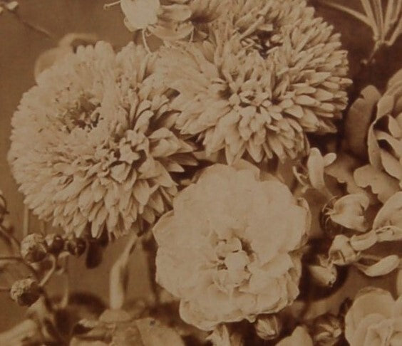 Composition florale Eugène Chauvigné albumine albumen photo photographie signée