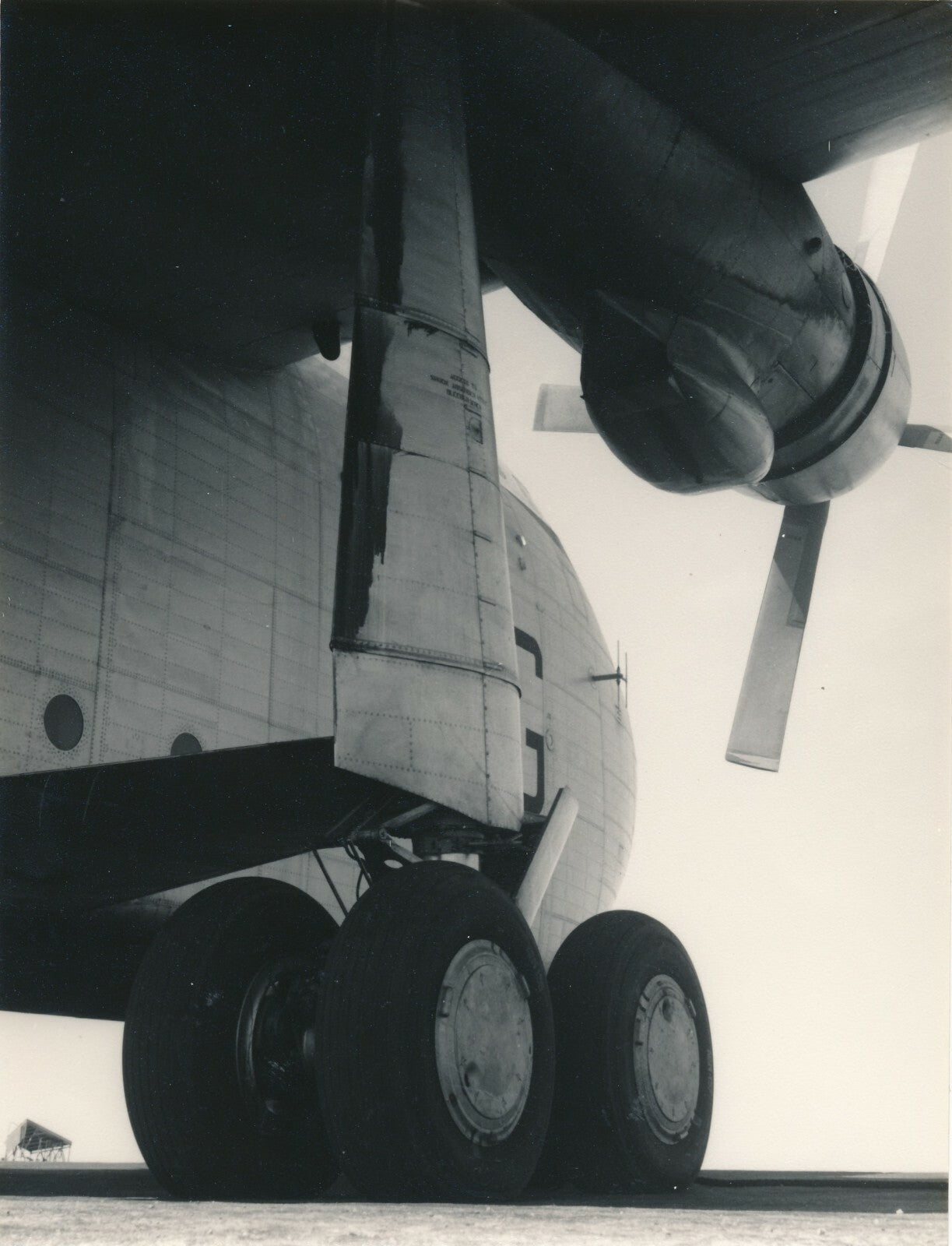 avion aviation Beverley RAF Royal Air Force photo argentique époque années 50