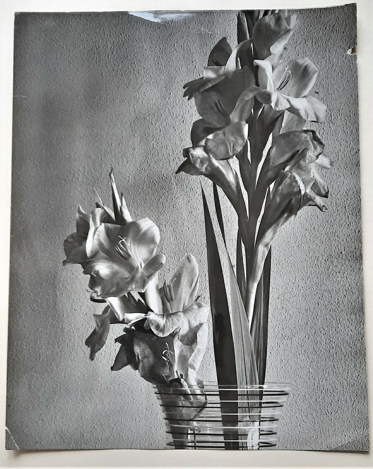 Fleur vase composition photo photographie v. 1940 attribution André DURAND