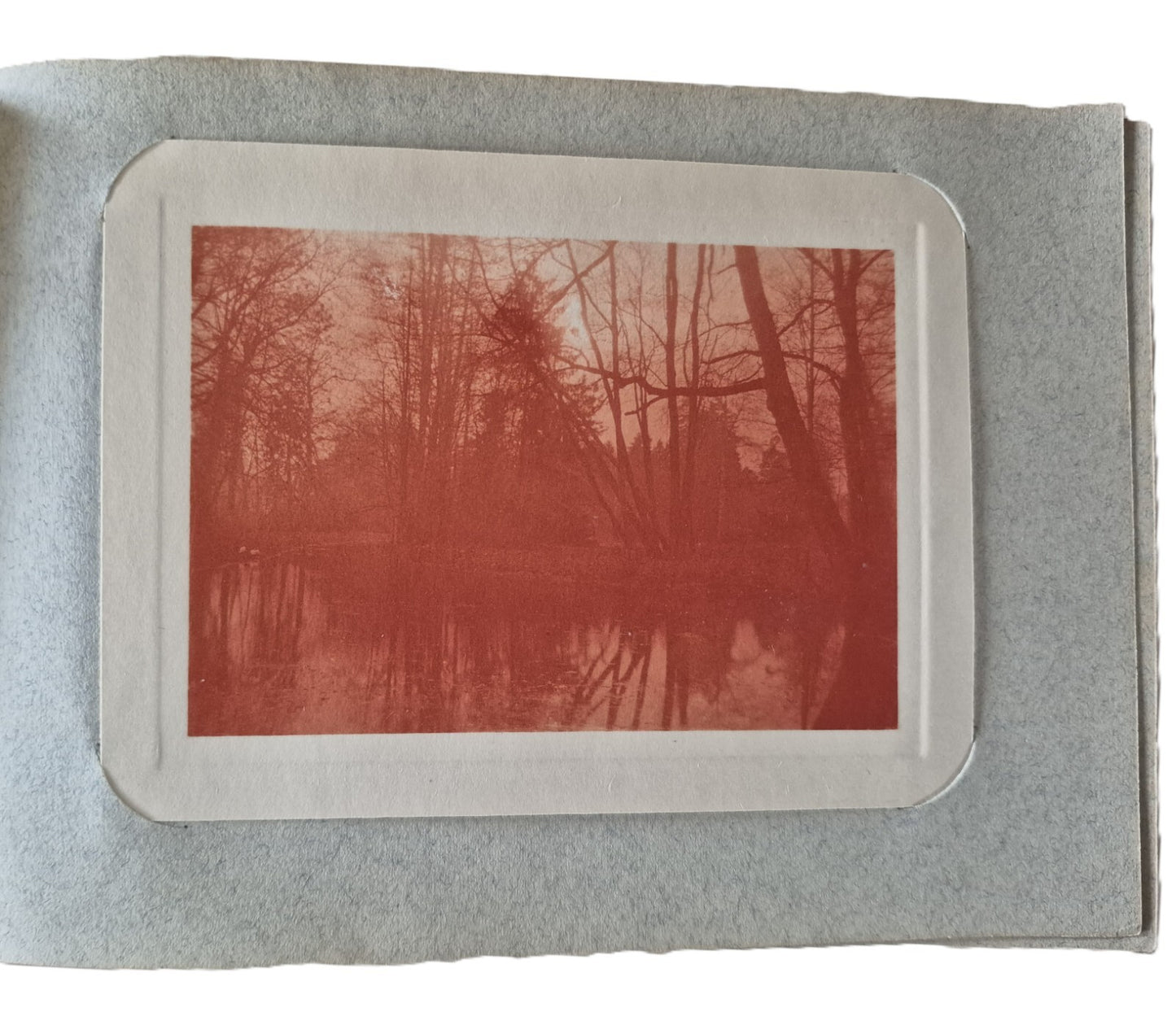 Album Photographie v. 1910 photo photographie couleur musicien paysage