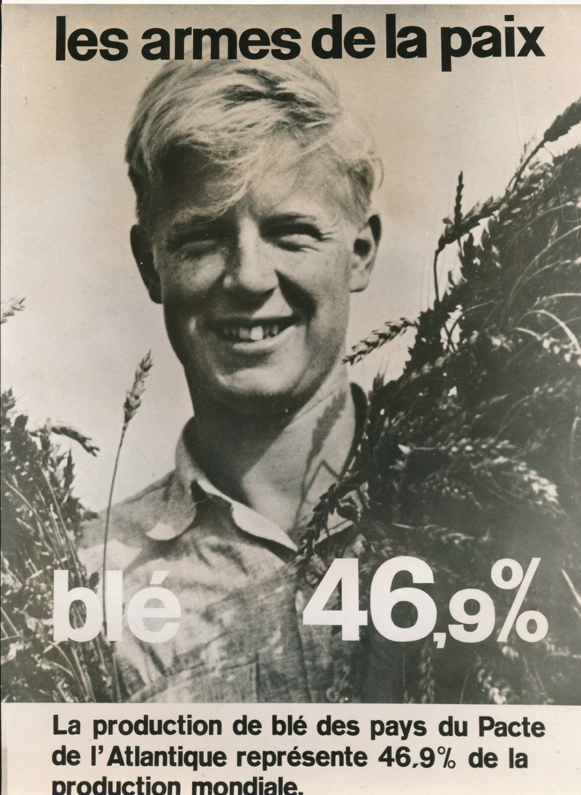 Exposition, graphisme, plan Marshall, OTAN, vers 1953 photo photographie