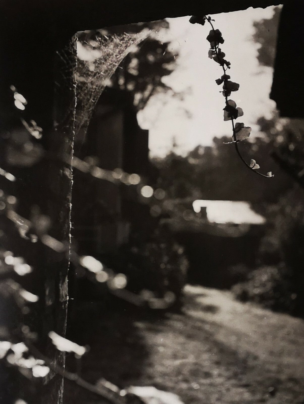 Pierre JAHAN (1909-2003), photographe Etude n° 12 date 1936 photo photographie