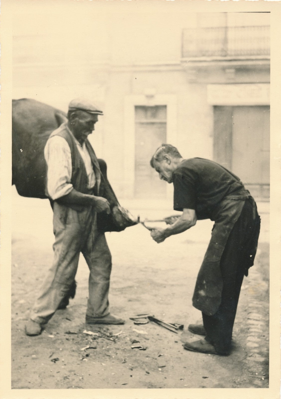 Ferrage des chevaux fer à cheval 5 tirages argentiques d'époque, vers 1930