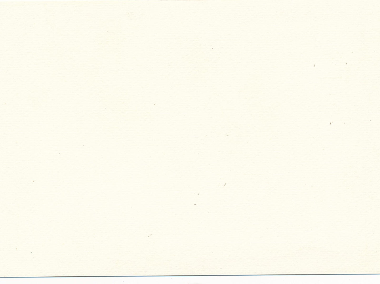 Suite érotique fleurie 3 photos photographie érotisme fleurs v. 1960 nu