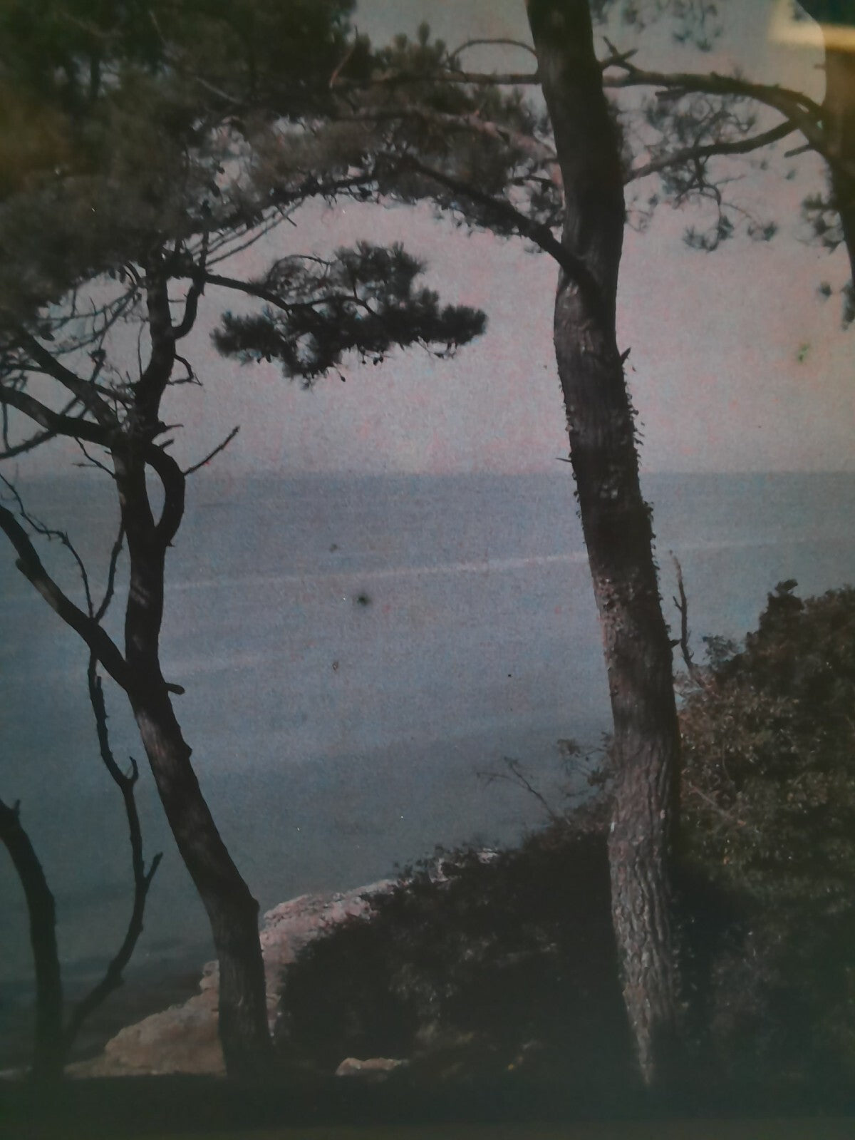 2 autochrome paysage mer arbre photo photographie