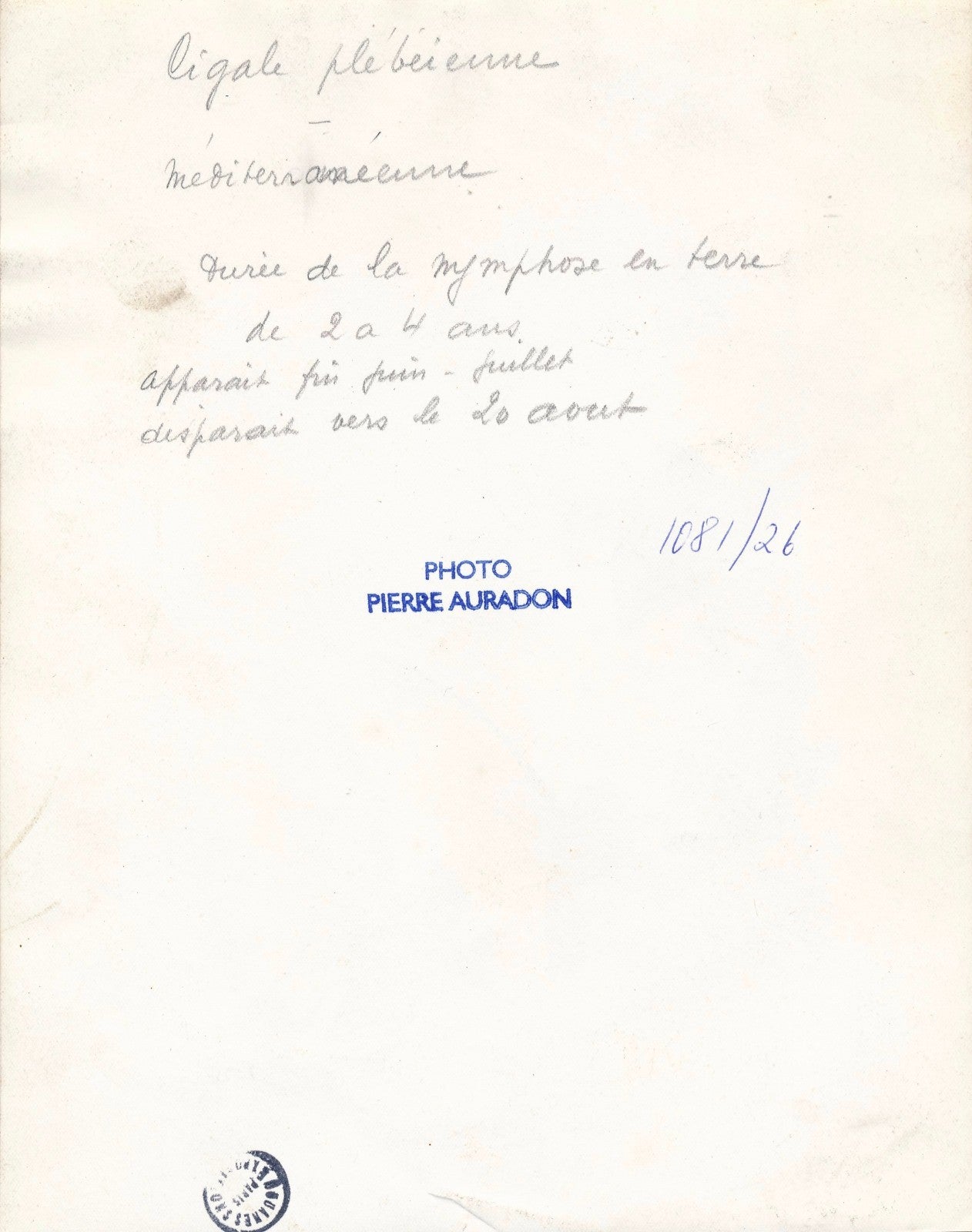 Pierre Auradon tirage argentique époque cigales photo photographie