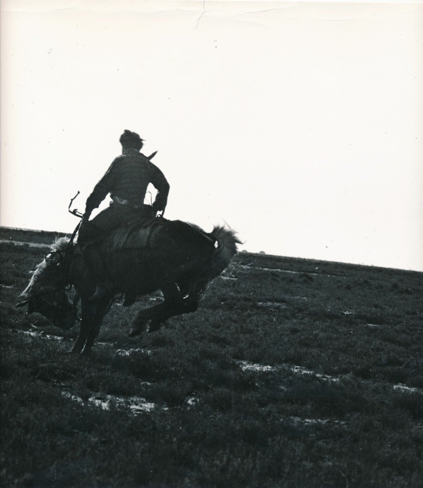 Photo Rodéo Tirage argentique d’époque, années 1960 chaval