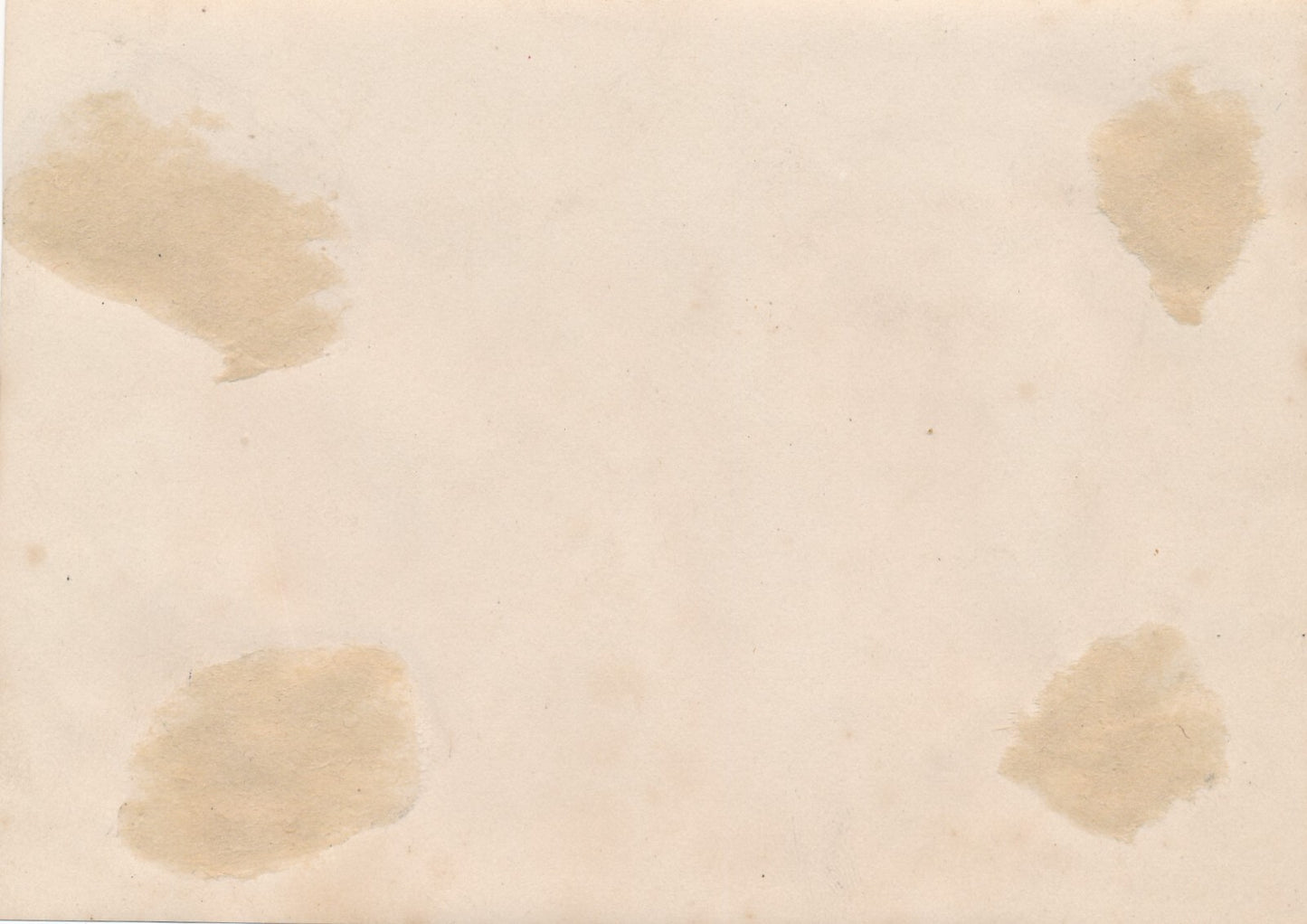 Le jaguar zoo 2 photo photographies époque v. 1937