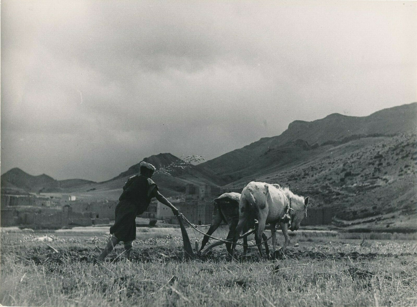 Maroc champ paysan labour tirage argentique époque photographe Jean Belin