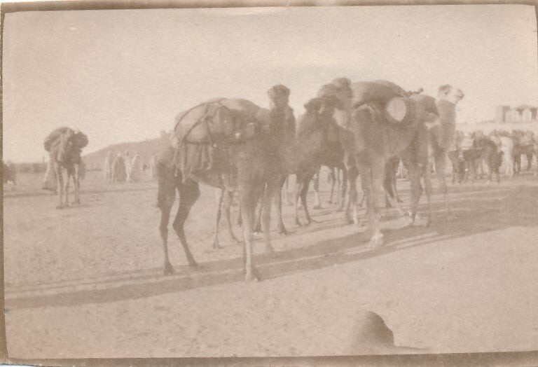 7 photos photographie BOUANANE Maroc vers 1920 colonialisme, protectorat