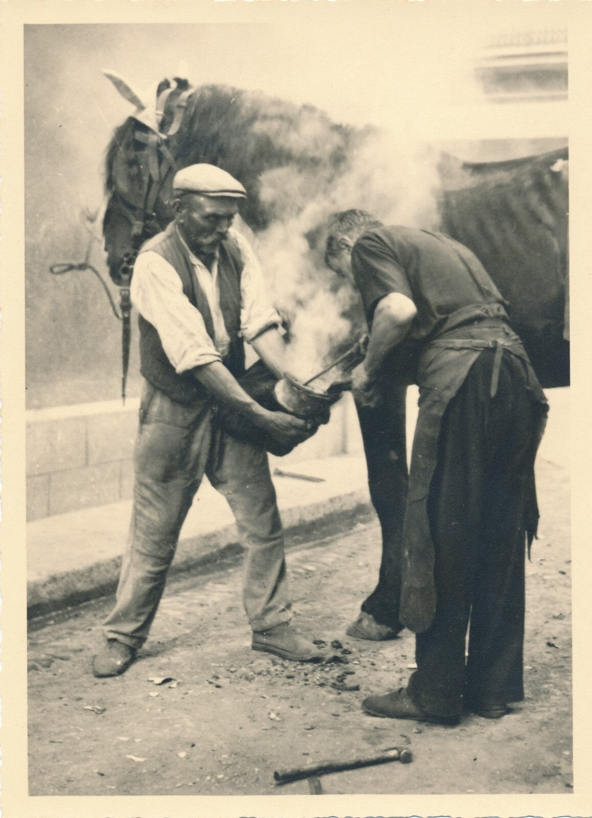 Ferrage des chevaux fer à cheval 5 tirages argentiques d'époque, vers 1930