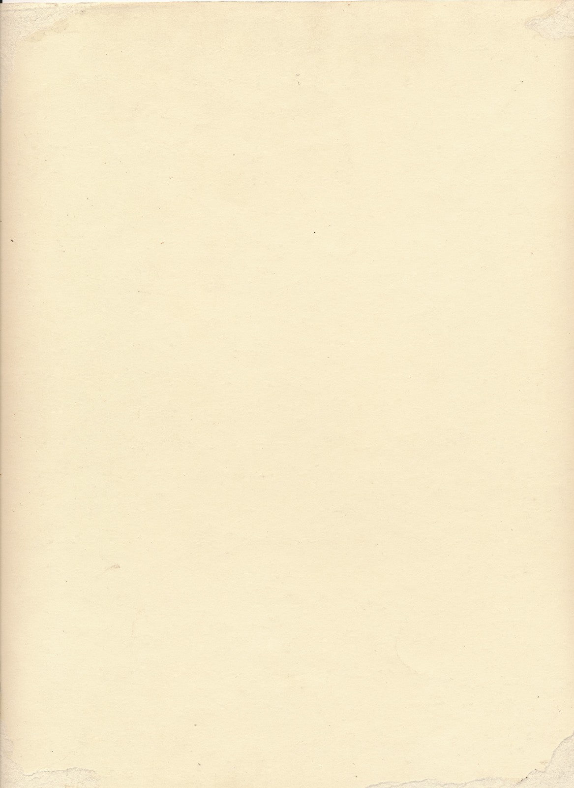 Photo Nature morte chasse oiseaux fusil tirage argentique époque