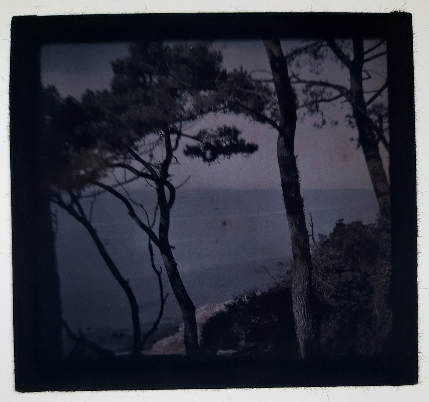 2 autochrome paysage mer arbre photo photographie