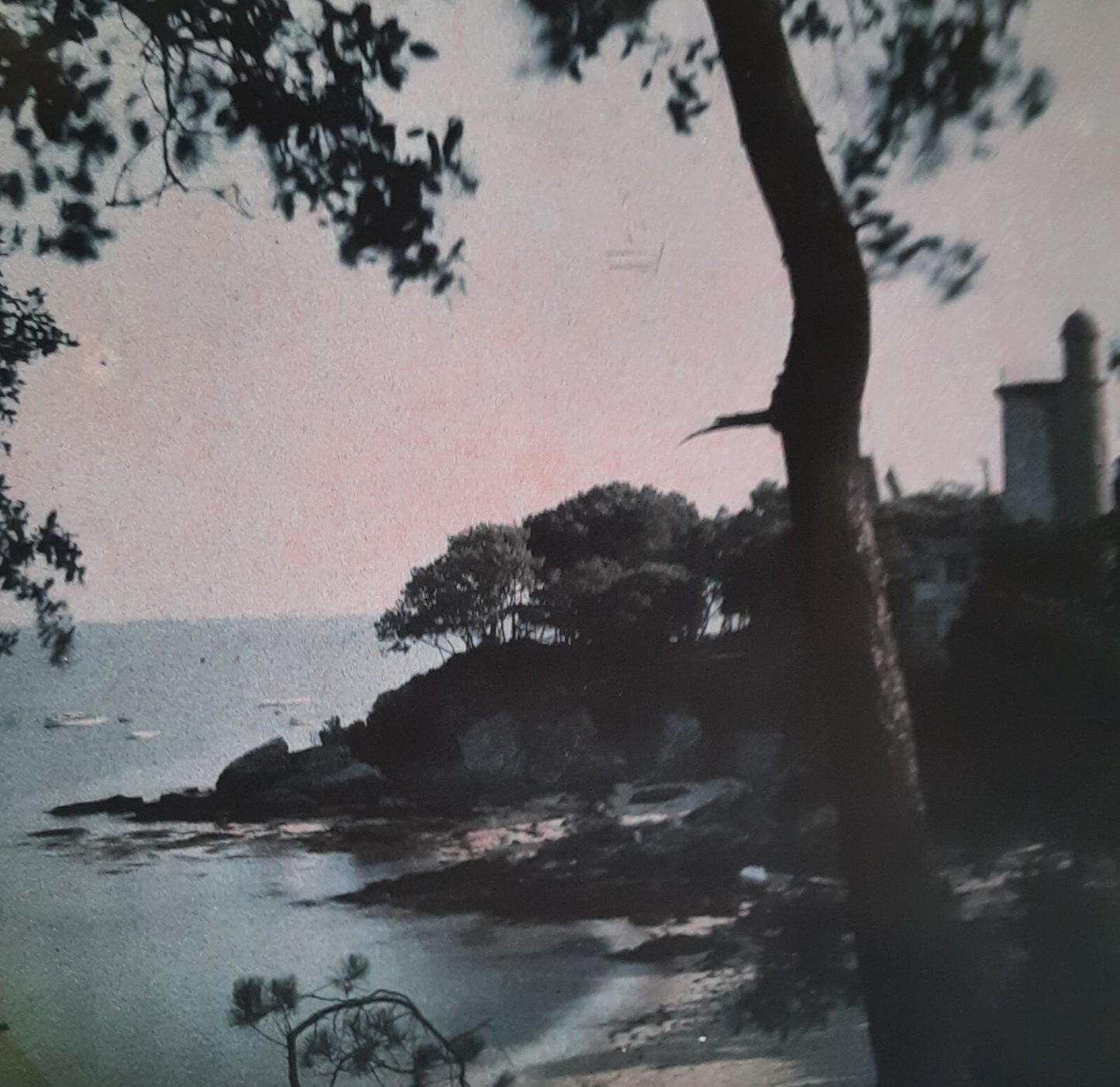 2 autochrome paysage mer arbre photo photographie