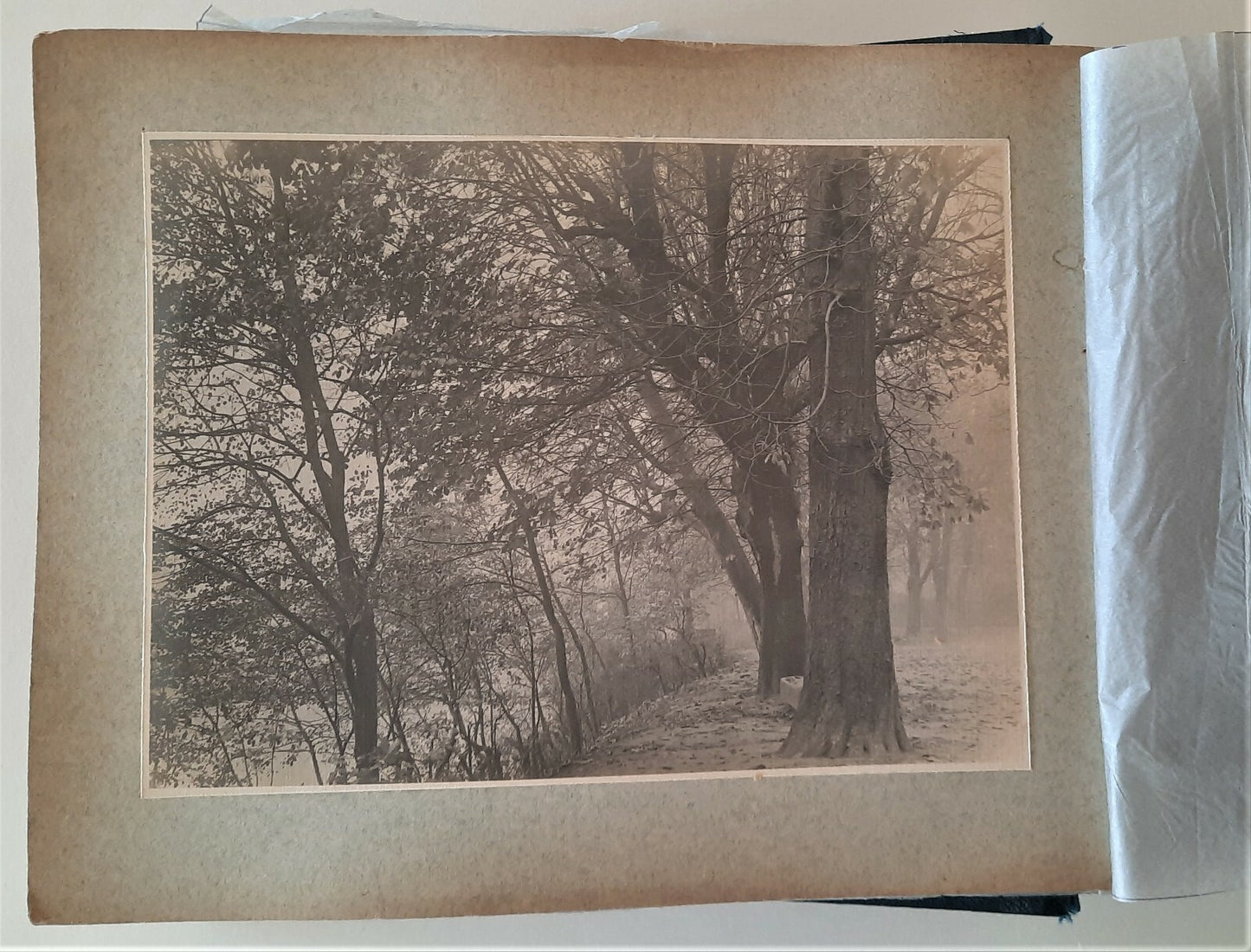 Première guerre mondiale album photo 80 tirages Laffaux Gerbéviller Godat Estrée