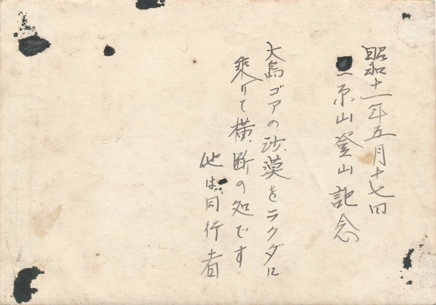 Voyage en Chine au Japon ? Dromadaire photo photographie années 1920
