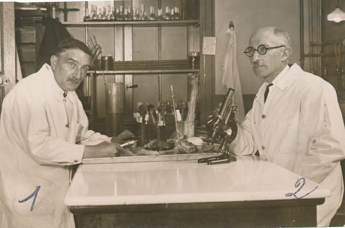 Léopold NÈGRE Alfred BOQUET Institut Pasteur photo photographie époque