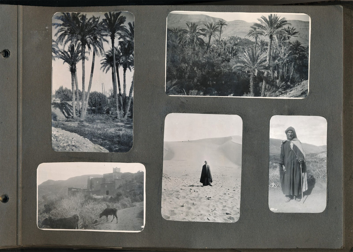 2 album photos illustrant la vie d'une femme (1920-1960) snapshots amateur