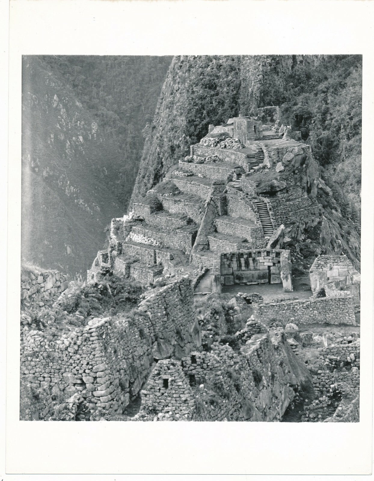 Machu Picchu 4 photographies cité inca, Pérou, Andes photo photographie 1957