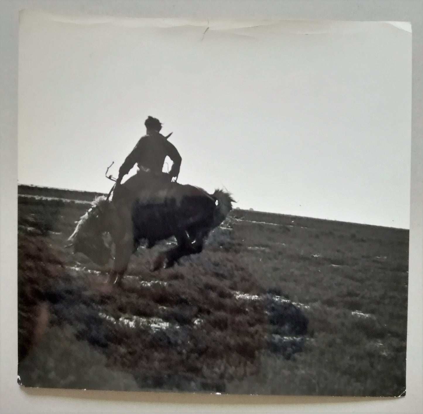Photo Rodéo Tirage argentique d’époque, années 1960 chaval