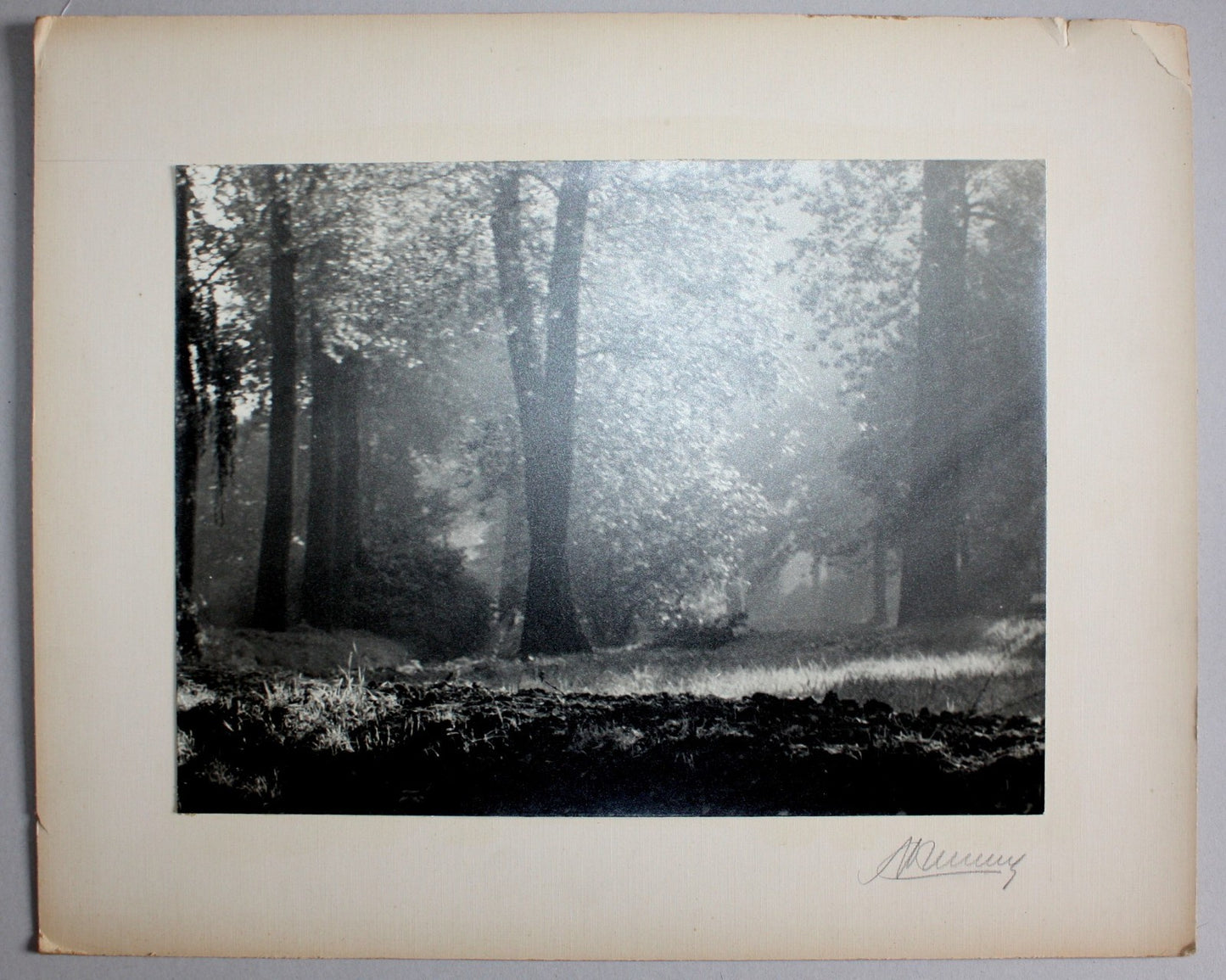 photo Paysage pictorialisme Anvers M. Creemers, Antwerpen Belgique v. 1930