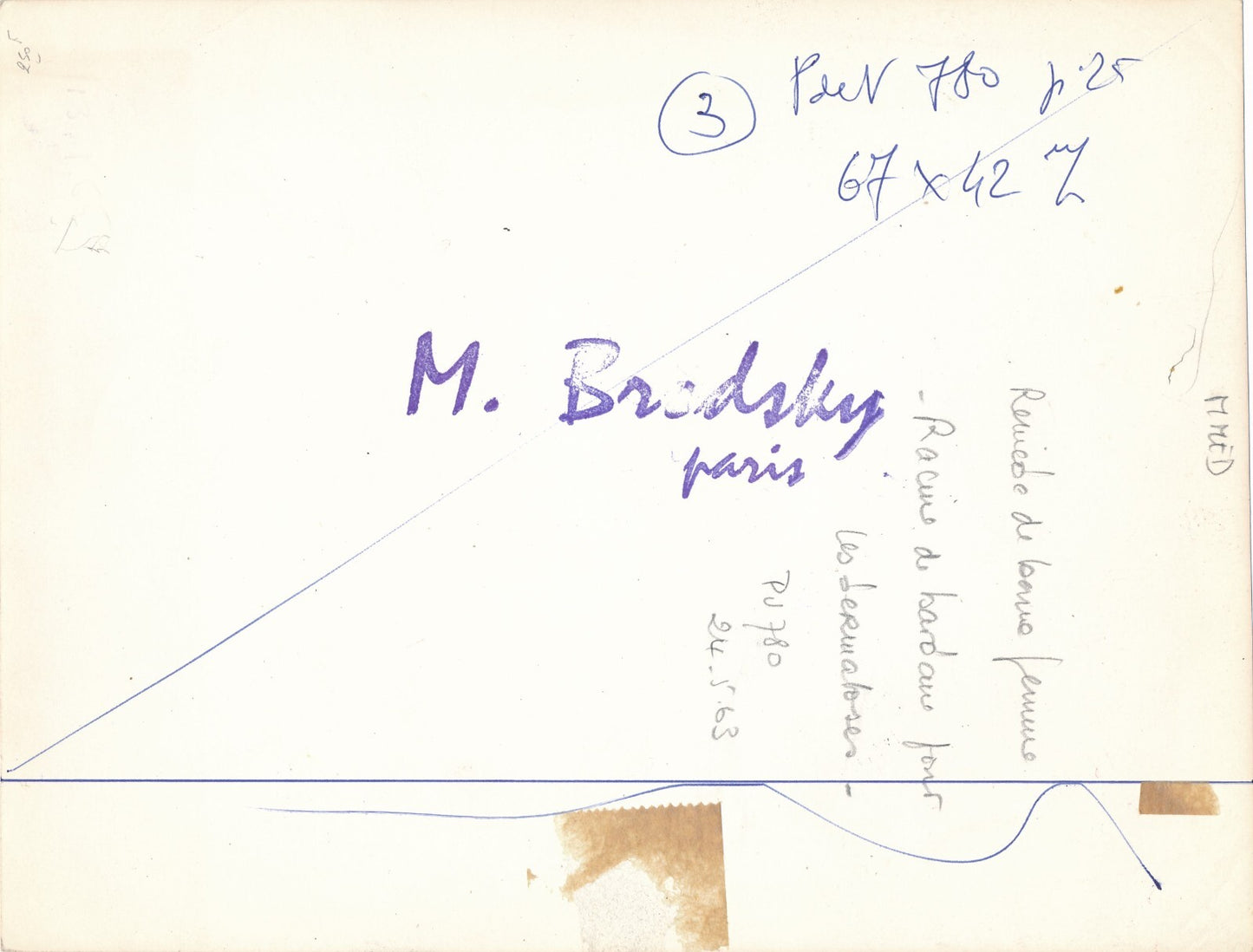 Brodsky remède racines bardanes dermatoses photo photographie
