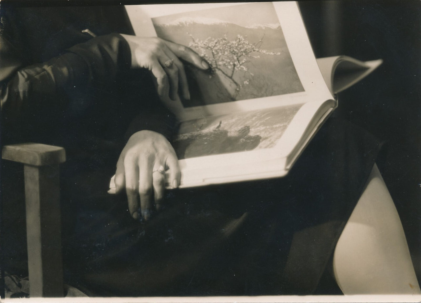 Variation mains livre 3 photo photographie vintage v. 1940