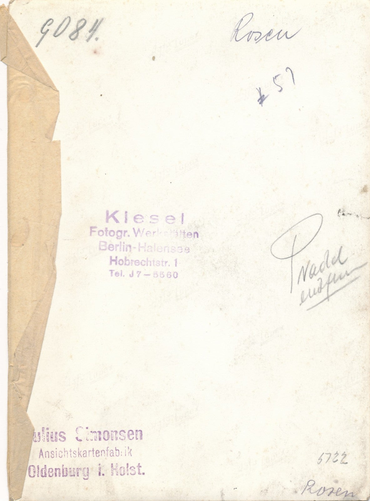 roses photographe Klesel Berlin photo argentique époque années 1930