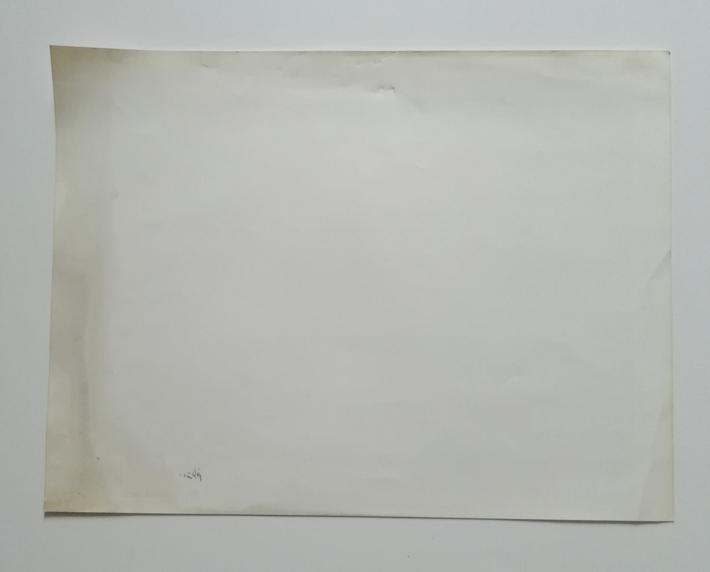 Corneille Cobra photographe Nico Koster tirage argentique époque 1996 estampe