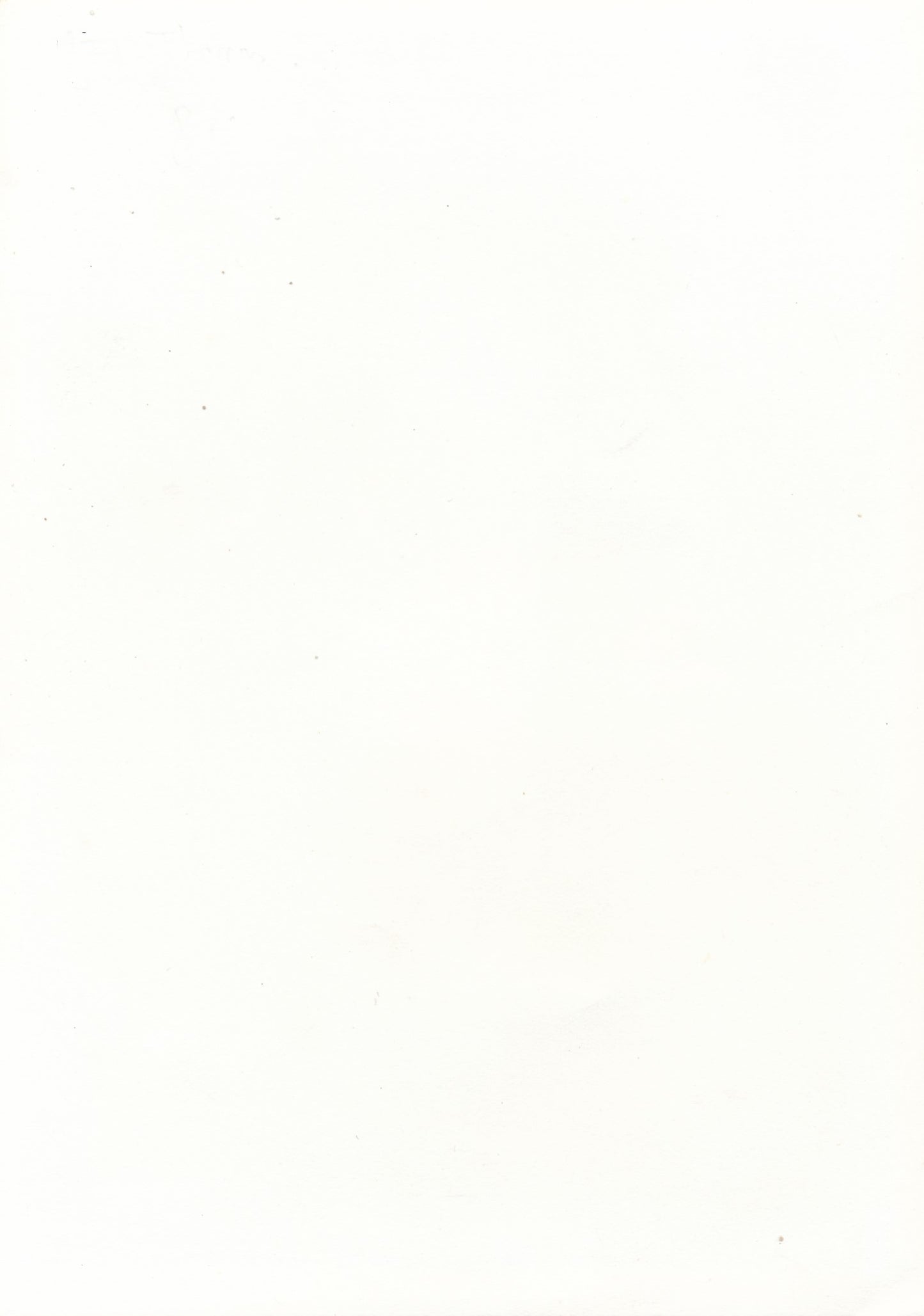 Anonyme Nature morte coquetier photo photographie époque années 1970