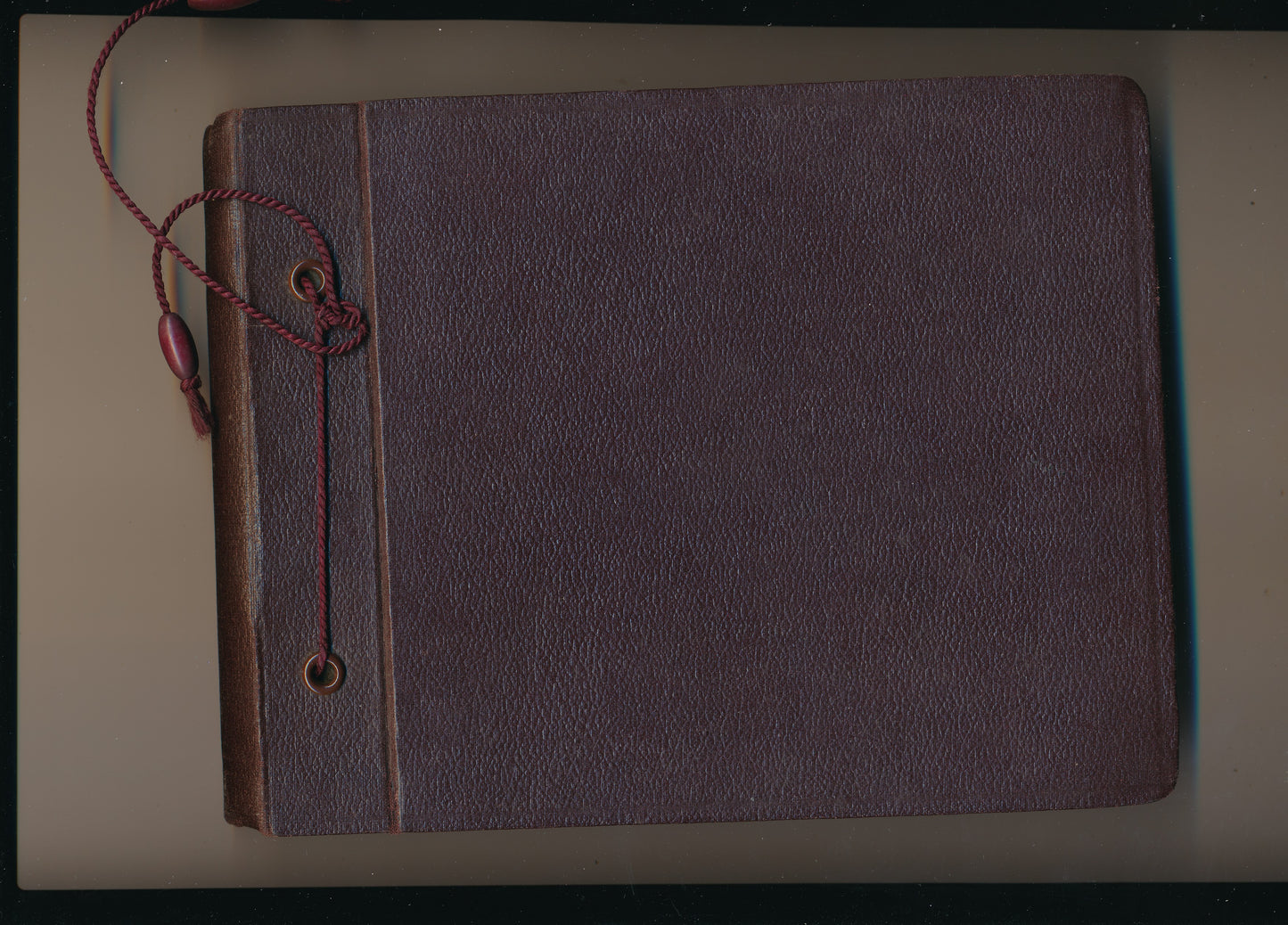 Bel album photo une jeune fille vers 1920 plus de 150 photographies "entre filles"