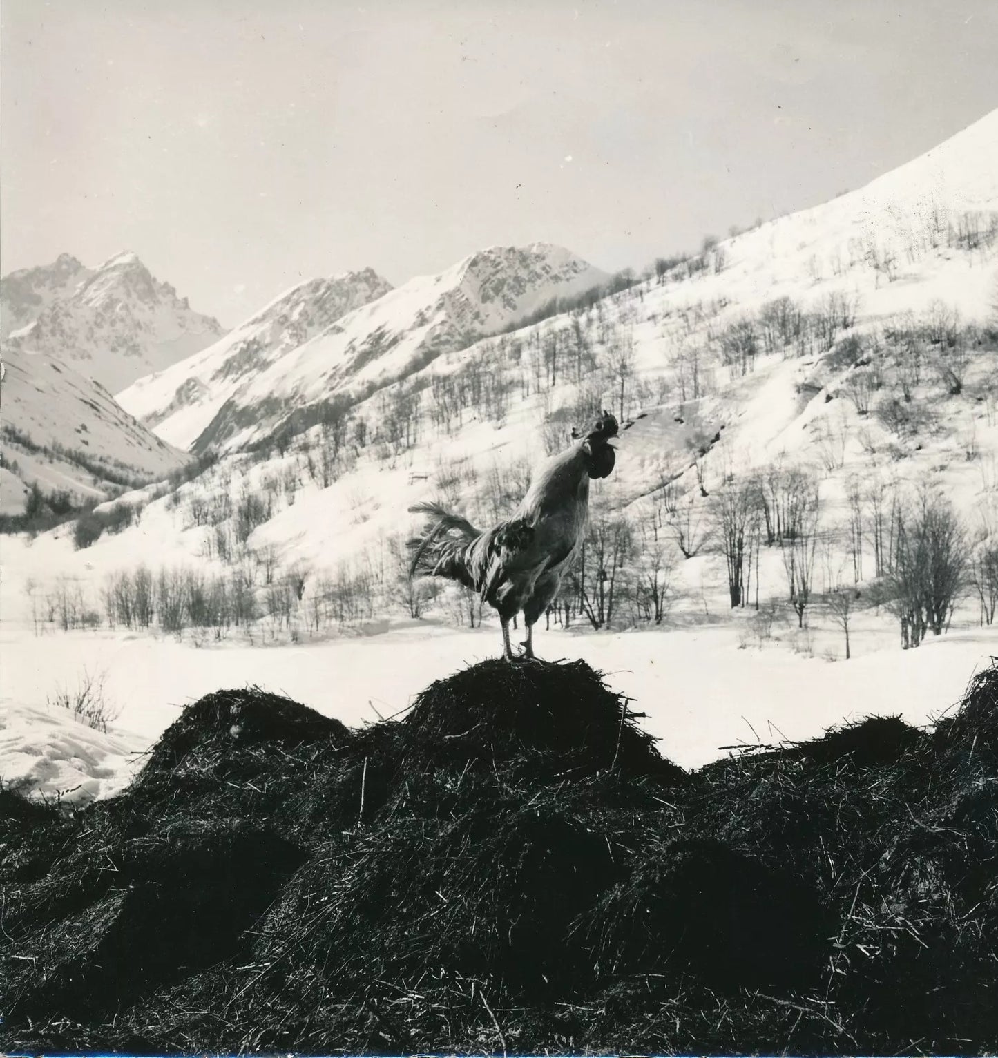 photo photographie époque neige