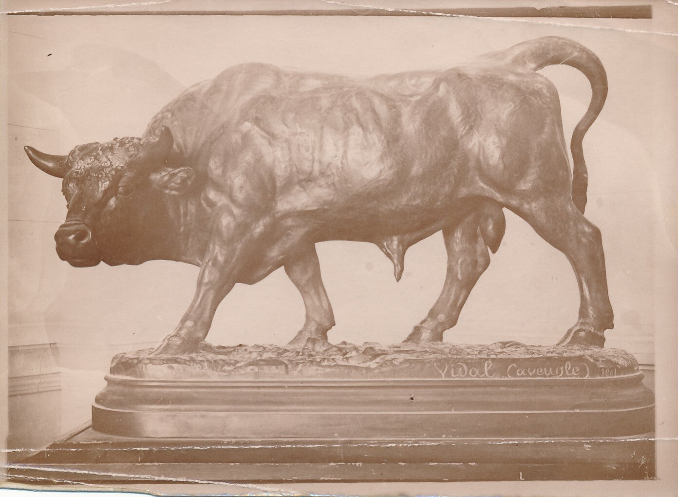 sculpteur animalier aveugle un taureau sculpture papier albuminé