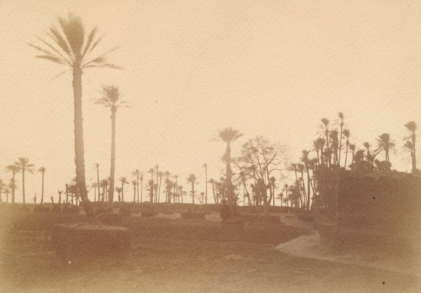 du Mexique (?) Anonyme. Tirage argentique, vers 1920 10,2 x 14,7 cm