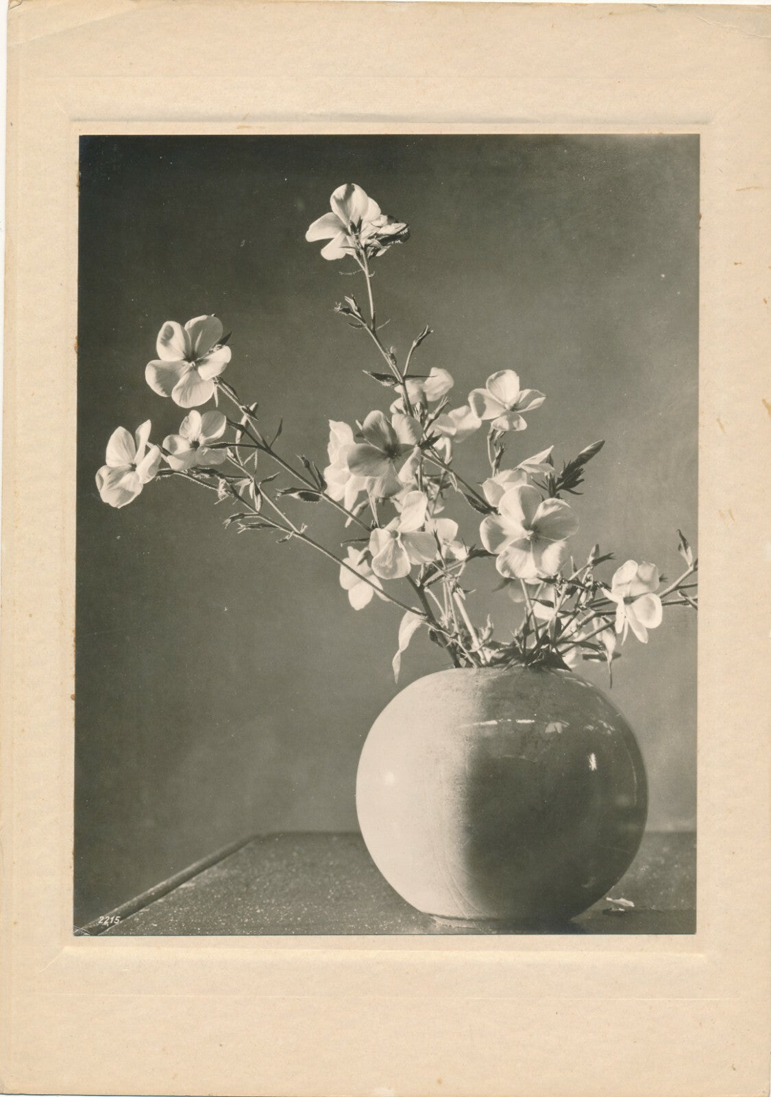 Étude au vase de fleur 1 nature morte c. 1940 photo photographie époque