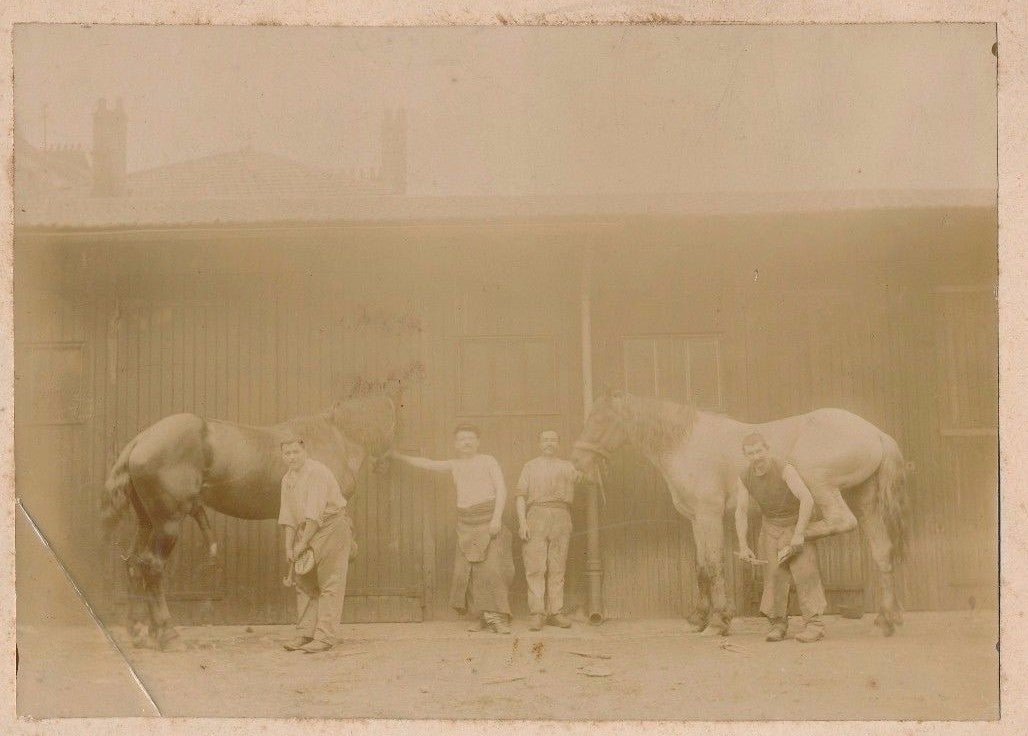 sabot ferrage vers 1880 tirage sur papier albuminé monté sur carton chevaux