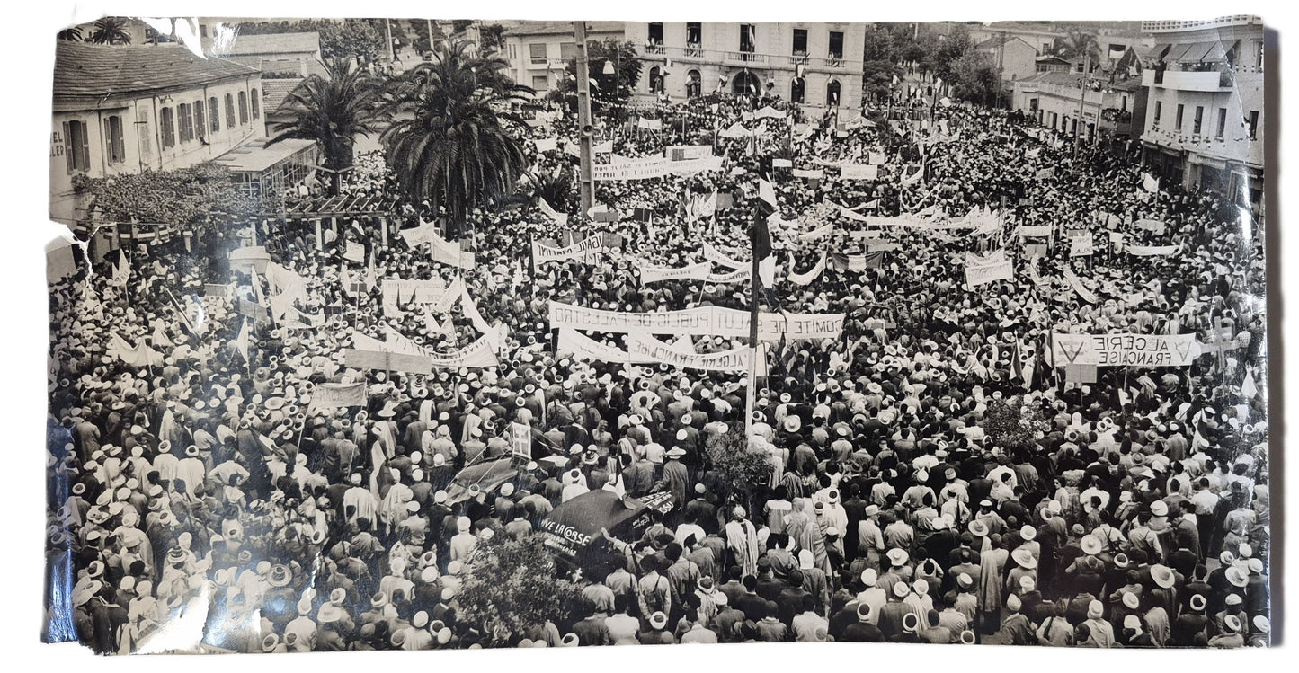 Algérie française 3 photographies époque manifestation 1961 photo