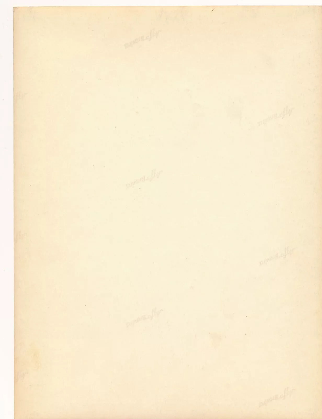 Deux hommes torse nu photo amateur v. 1940