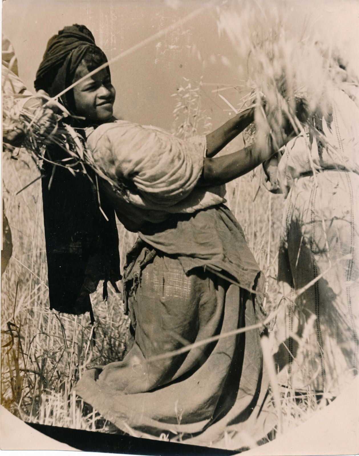 Photo Denise Bellon jeunes paysannes maroc moisson argentique époque cachet