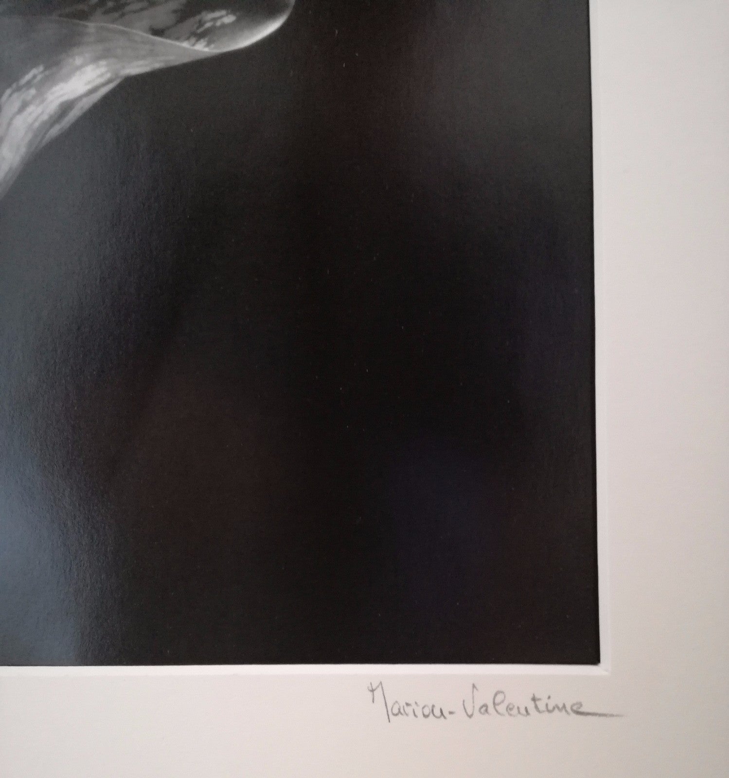 Photographie fleur Marion Valentine tirage argentique signée numérotée photo