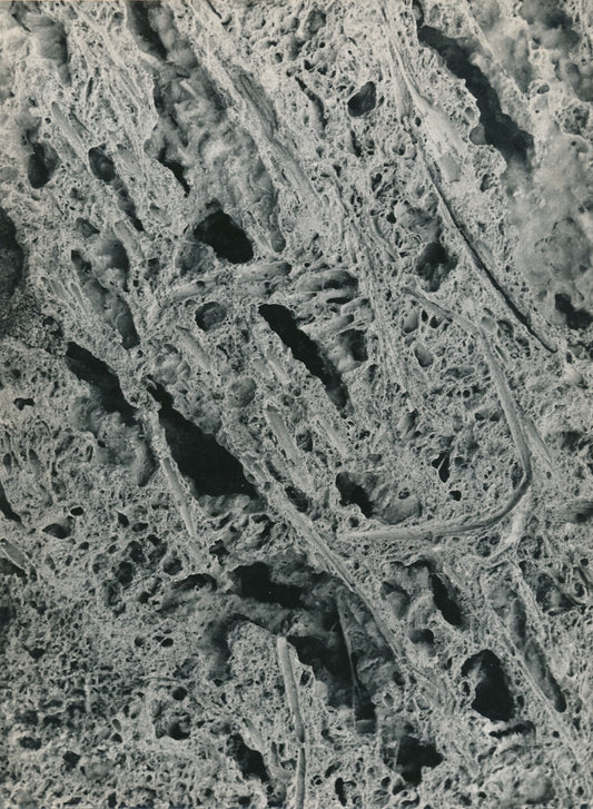 Composition abstraite, abstraction micro photographie photo 
