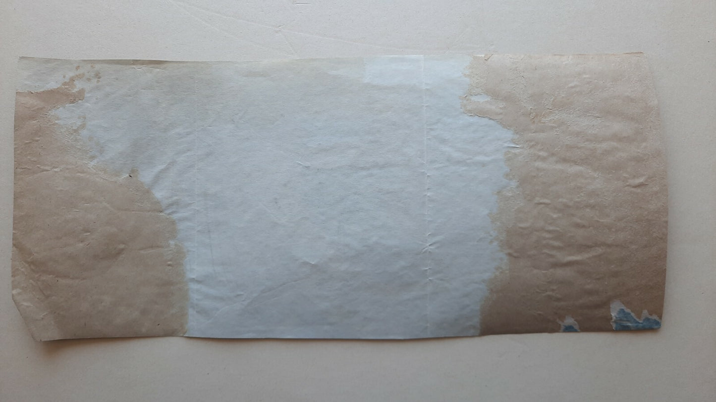 Patron photographique dentelle cyanotype vers 1900. 15 x 33,5 cm photo