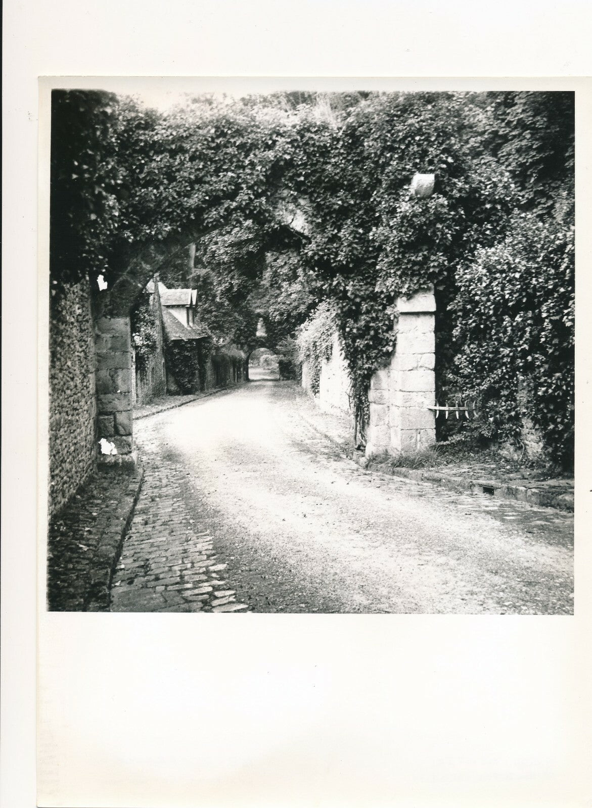 Les Vaux de Cernay photo photographie v. 1950