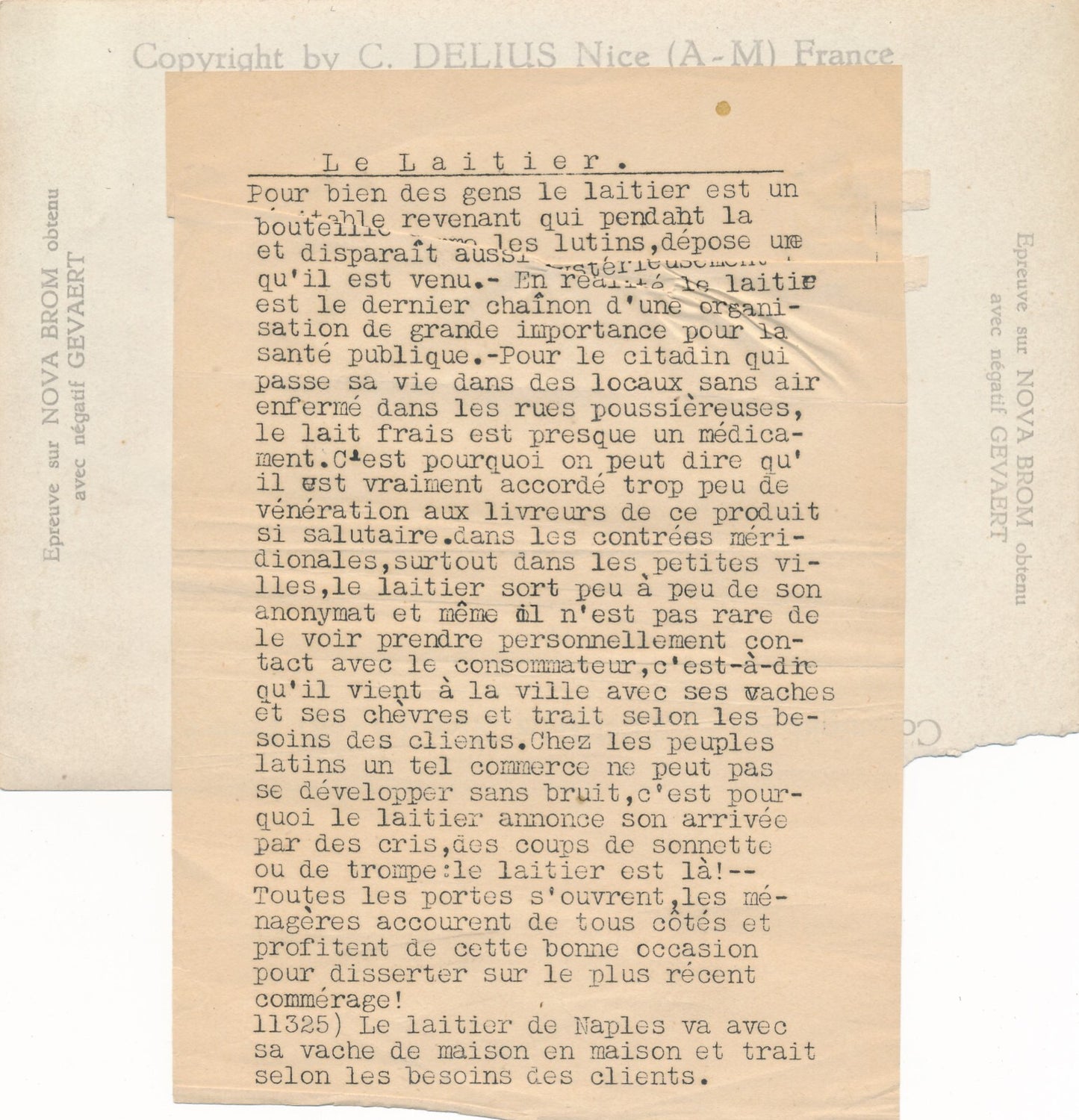 laitier Naples vache traite lait photo photographie époque argentique Italie